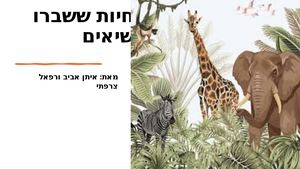חיות ששברו שיאים רפאל צרפתי ואיתן אביב