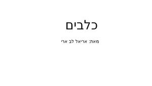 כלבים אריאל לב ארי