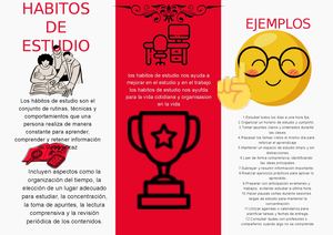 Habitos De Estudio