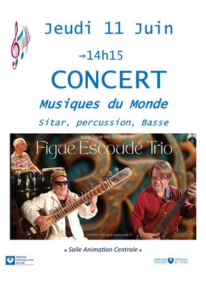 Jeudi 11juin 14h15 Concert Musiques Du Monde Sitar, Percussion, Basse