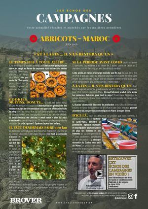 Echos Des Campagnes Brover Abricots Maroc Juin 2026