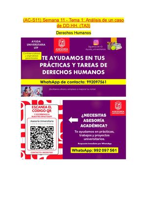 (Ac S11) Semana 11 Tema 1 Análisis De Un Caso De Dd Hh (Ta3) Ddhh