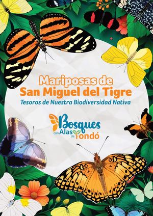Catalogo De Mariposas San Miguel Del Tigre