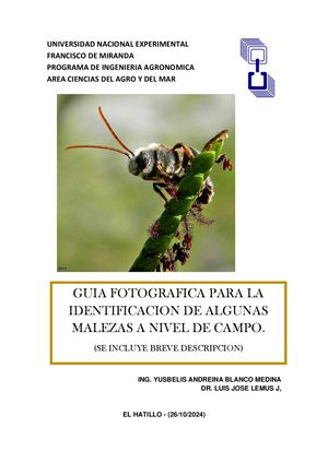 Clado Monocotiledoneas Comunes En Falcon, Venezuela
