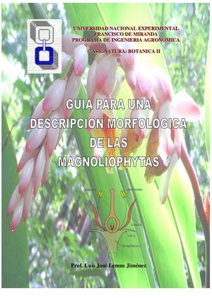 Guia Para Una Descripcion Morfologica De Plantas Superiores
