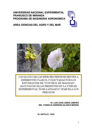 Eudicotiledoneas Comunes Del Estado Falcon, Venezuela
