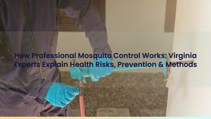 How Professional Mosquito Control Works: Virginia Experts Explain Health Risks, Prevention & Methods