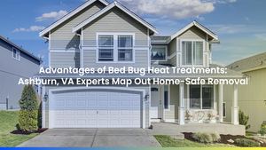 Advantages of Bed Bug Heat Treatments: Ashburn, VA Experts Map Out Home-Safe Removal
