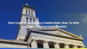 Pest Control Company Credentials: How To Hire The Right Virginia Exterminator