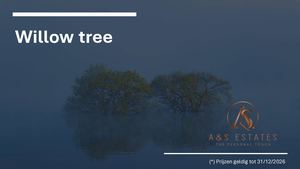 Willow Tree