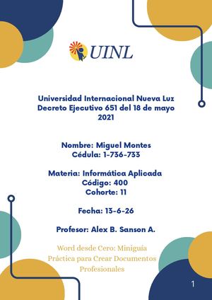 Actividad Sumativa N° 1 Minis Guía