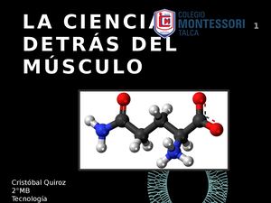 La ciencia detrás del músculo