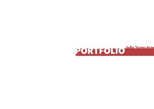 Torres Portfolio
