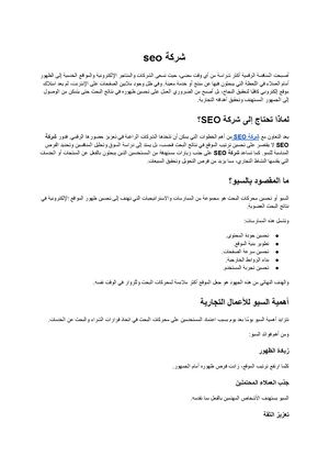 شركة Seo (1)
