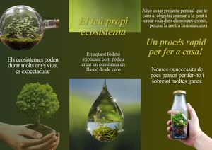Como crear tu propio ecosistema