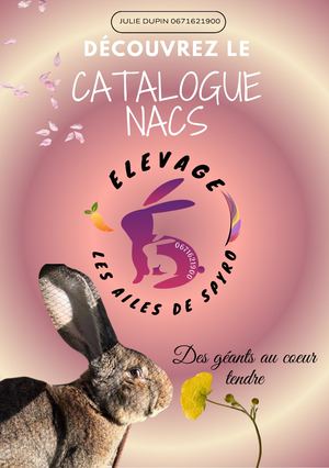 Les ailes de spyro