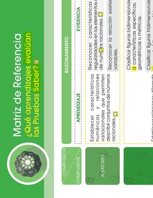 Matriz De Referencia 7