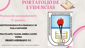 Presentación Portfolio Practica Pedagogica Iv Acompañamiento