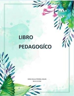 Planeamiento Libro Pedagogico