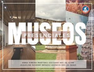 Fotografias Extra De Vsita A Museos