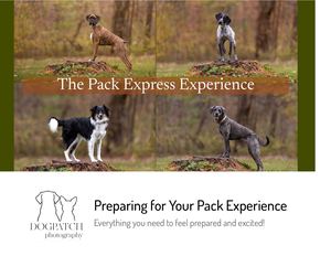 The Pack Express Experience