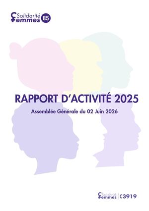 Rapport D'activite Synthetique 2025