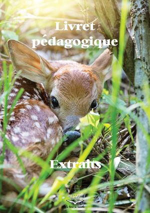 Livrets pédagogiques de l'exposition "Bambi"