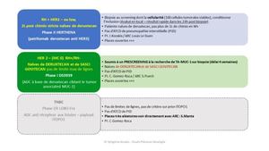 OCR_Sénologie_PhasesPrécoces_062026