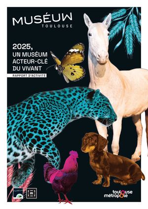 Rapport d'activité 2025