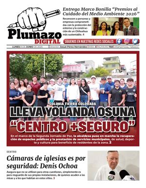 Plumazo Digital 768