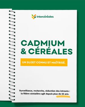 Intercerames Cadmium 08 06 26