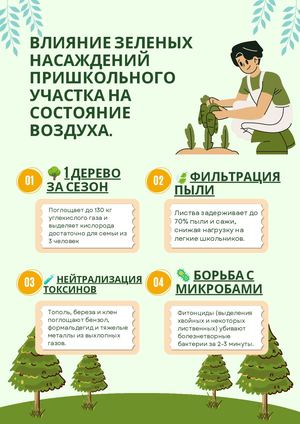 Влияние зеленых насаждений пришкольного участка на состояние воздуха