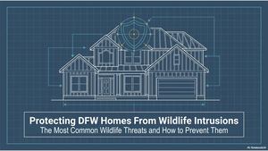 Protecting Dfw Homes From Wildlife Intrusions
