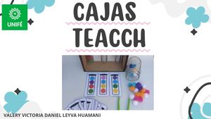 Caja Teacch (1)
