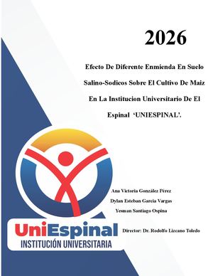 Efecto De Diferentes Enmiendas En Suelos Salino Final