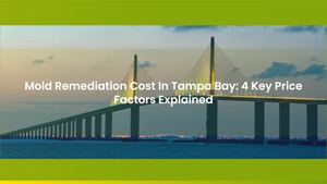 Mold Remediation Cost In Tampa Bay: 4 Key Price Factors Explained