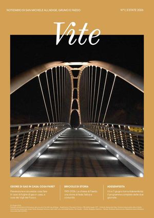 Vite - giugno 2026