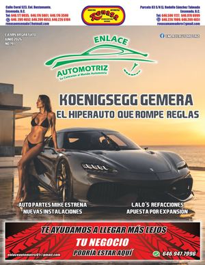 Enlace Automotriz Redes