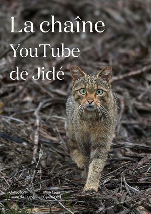 La chaîne YouTube de Jidé