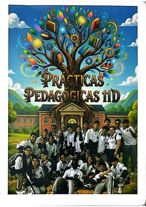 Practica Pedagogica Andres Felipe Culma