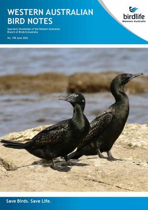 Wabn 198 June 2026 E Version