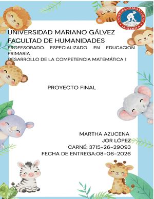 Proyecto Final Matemática I