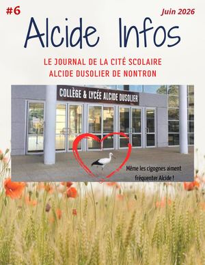 Journal Alcide #6