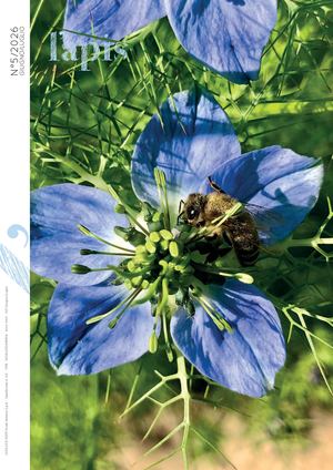 LAPIS 5_26 GIUGNO/LUGLIO ANTEPRIMA