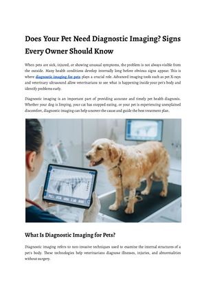 Does Your Pet Need Diagnostic Imaging