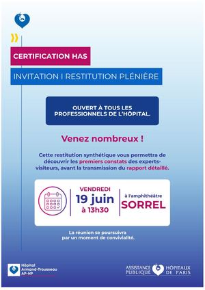 Affiche Restitution Plénière Trs