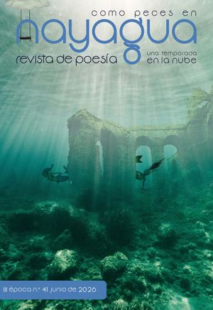 Nayagua n.º 41