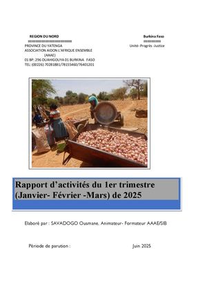 Rapport Des Activités Janvier à Mars 2025