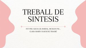 Treball De Sintesis