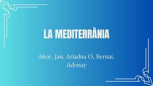 Treball Sintesis (1)